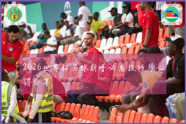 2026世界杯买球新手必看技巧与心得分享