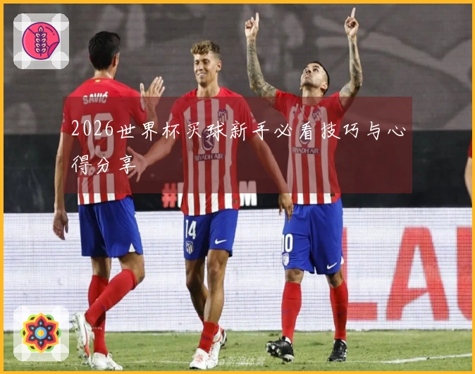 2026世界杯买球新手必看技巧与心得分享