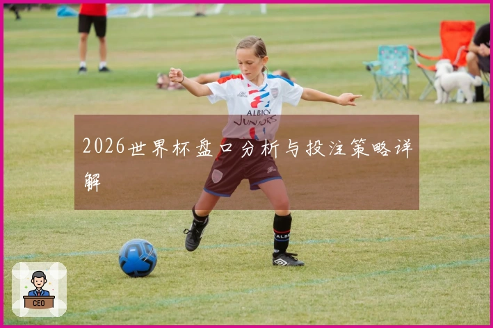 2026世界杯盘口分析与投注策略详解