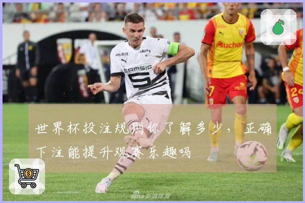 世界杯投注规则你了解多少，正确下注能提升观赛乐趣吗