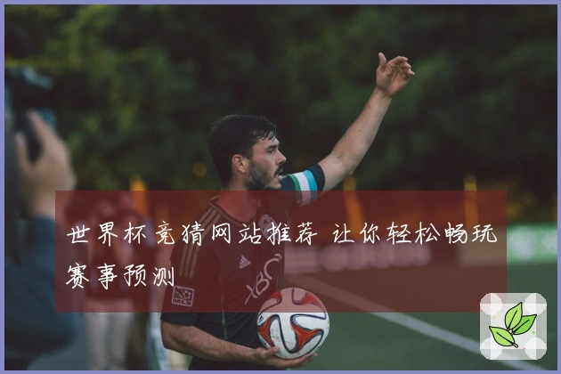 世界杯竞猜网站推荐 让你轻松畅玩赛事预测
