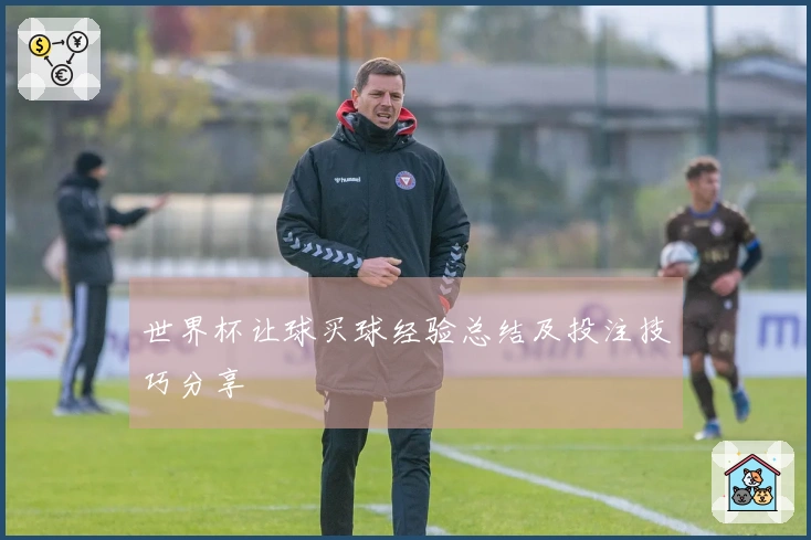 世界杯让球买球经验总结及投注技巧分享
