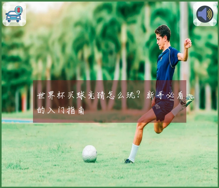 世界杯买球竞猜怎么玩？新手必看的入门指南